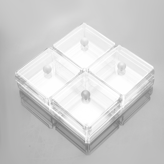 Tray with 4 boxes